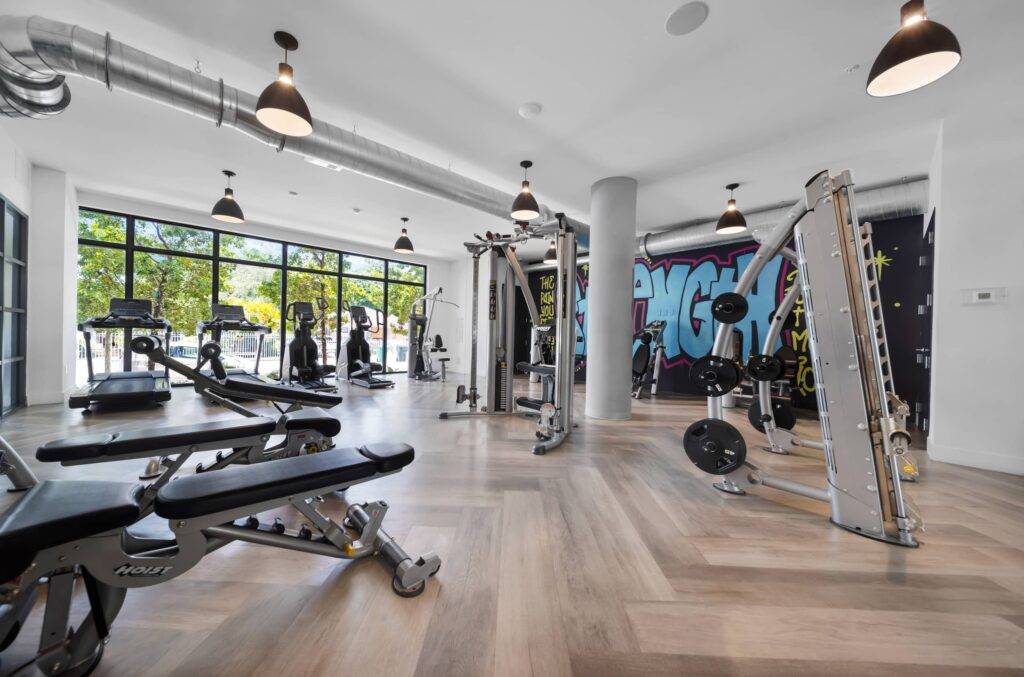 Modern gym interior with weight machines and large windows offering a vibrant view.