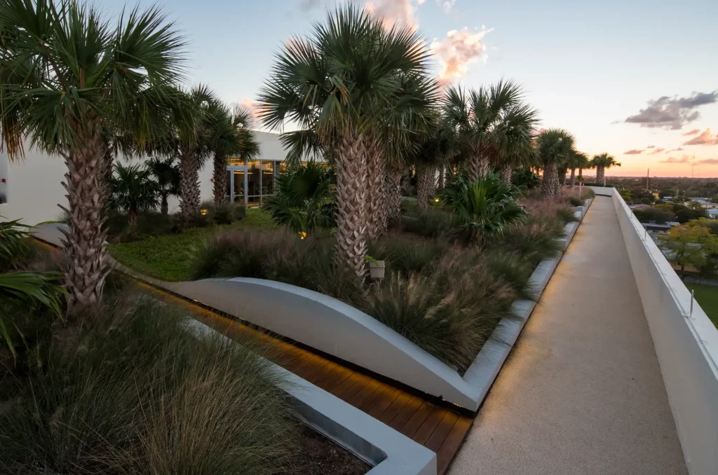 Rooftop garden with palm trees and sunset view at Optima Plaza.
