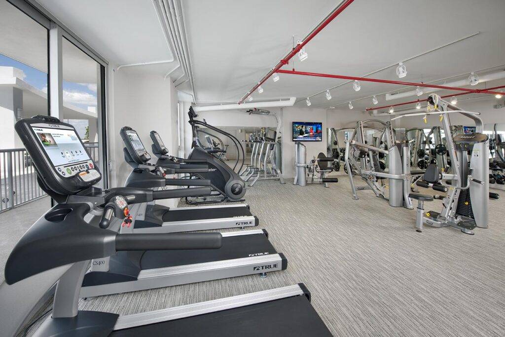 Modern fitness center with treadmills and weight machines in a bright, spacious gym.