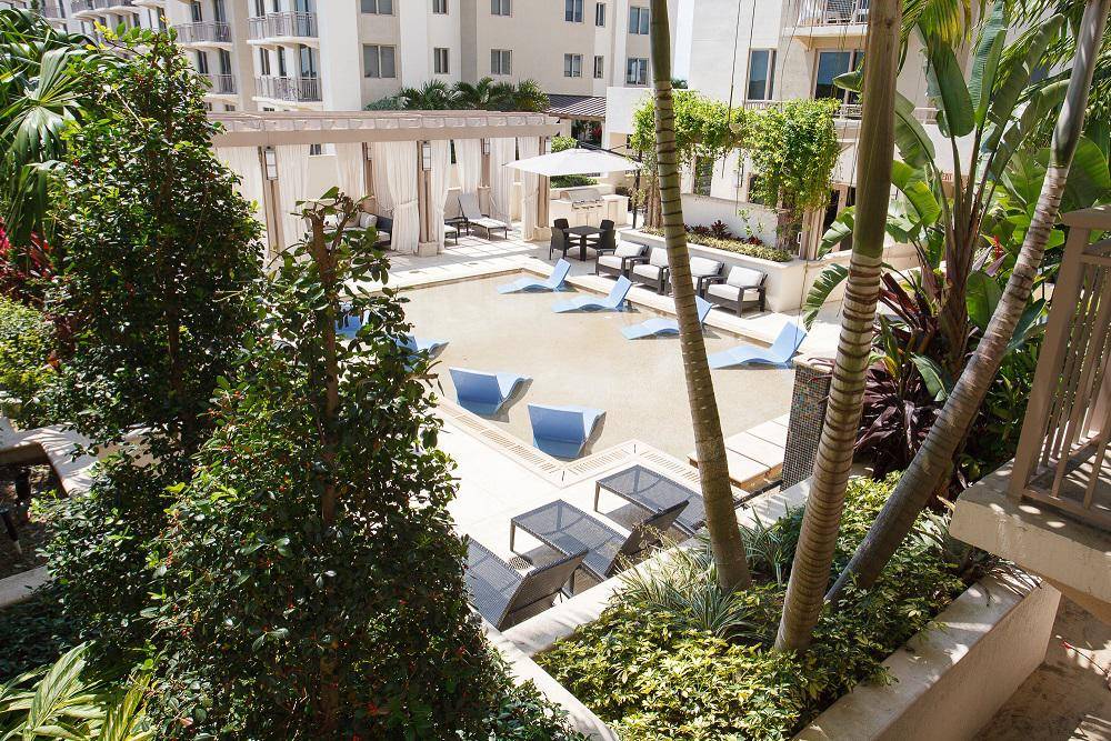 Luxurious pool area surrounded by modern apartments and lush greenery at Gables Ponce.