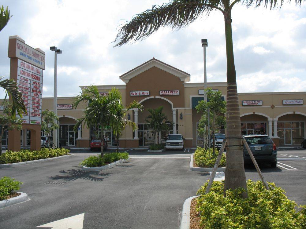 Shopping plaza with palm trees and multiple storefronts under a cloudy sky.