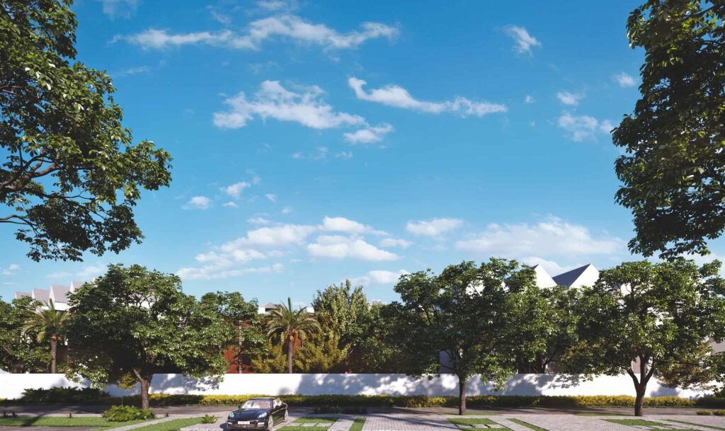 Peaceful neighborhood street lined with lush green trees and a clear blue sky.