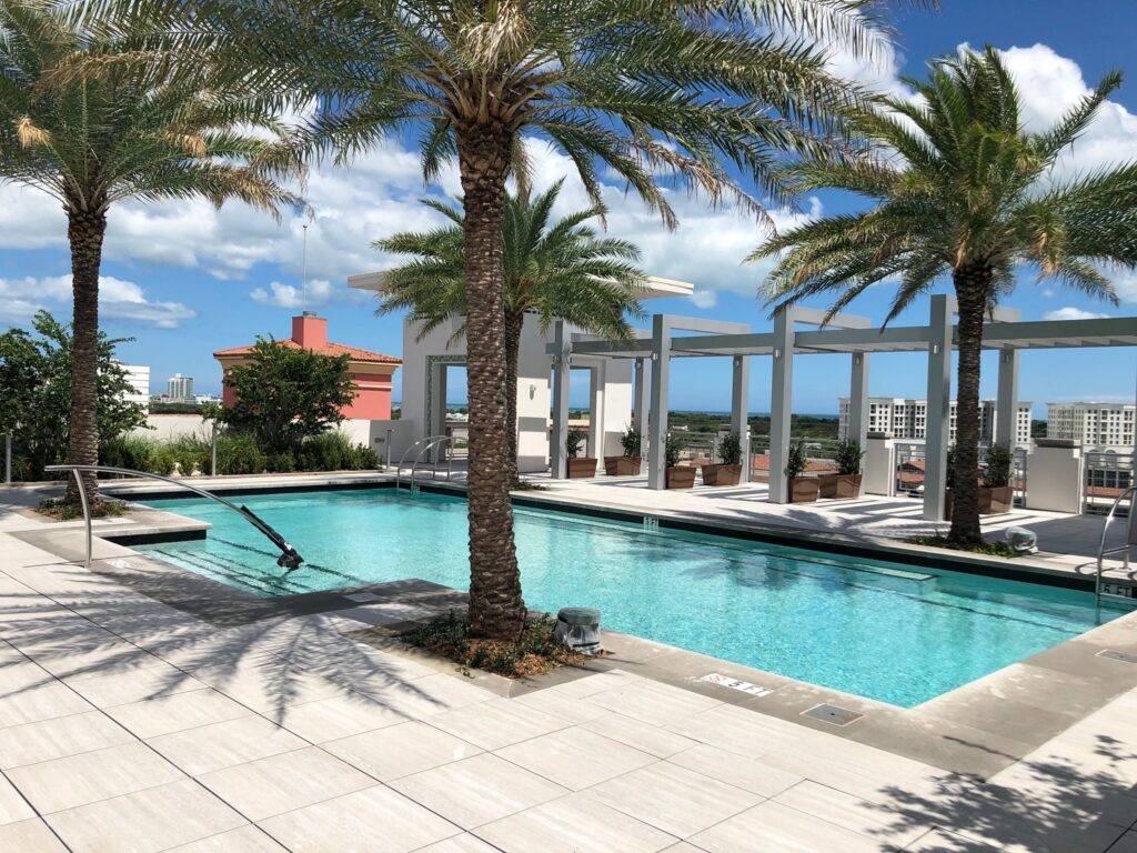 Rooftop pool surrounded by palm trees under a blue sky.