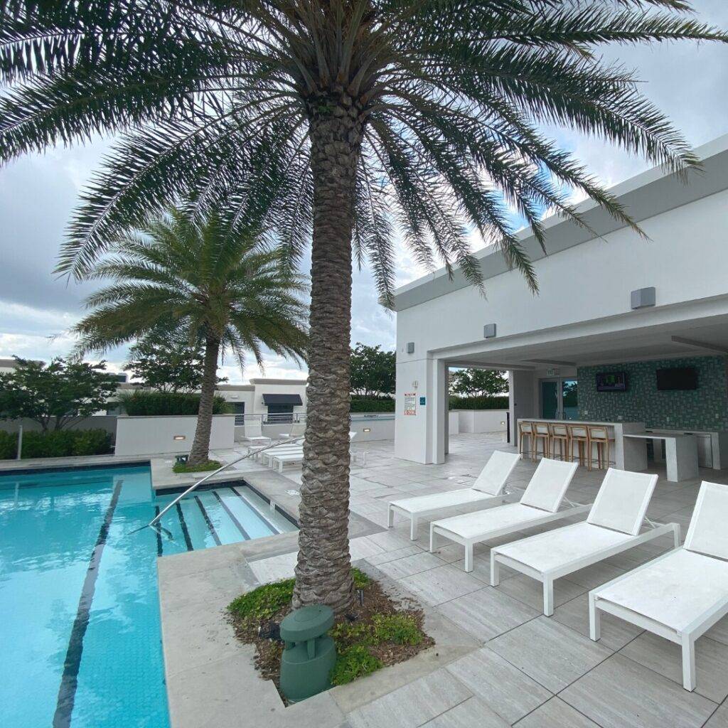 Luxurious poolside setting with palm trees and modern lounge chairs.